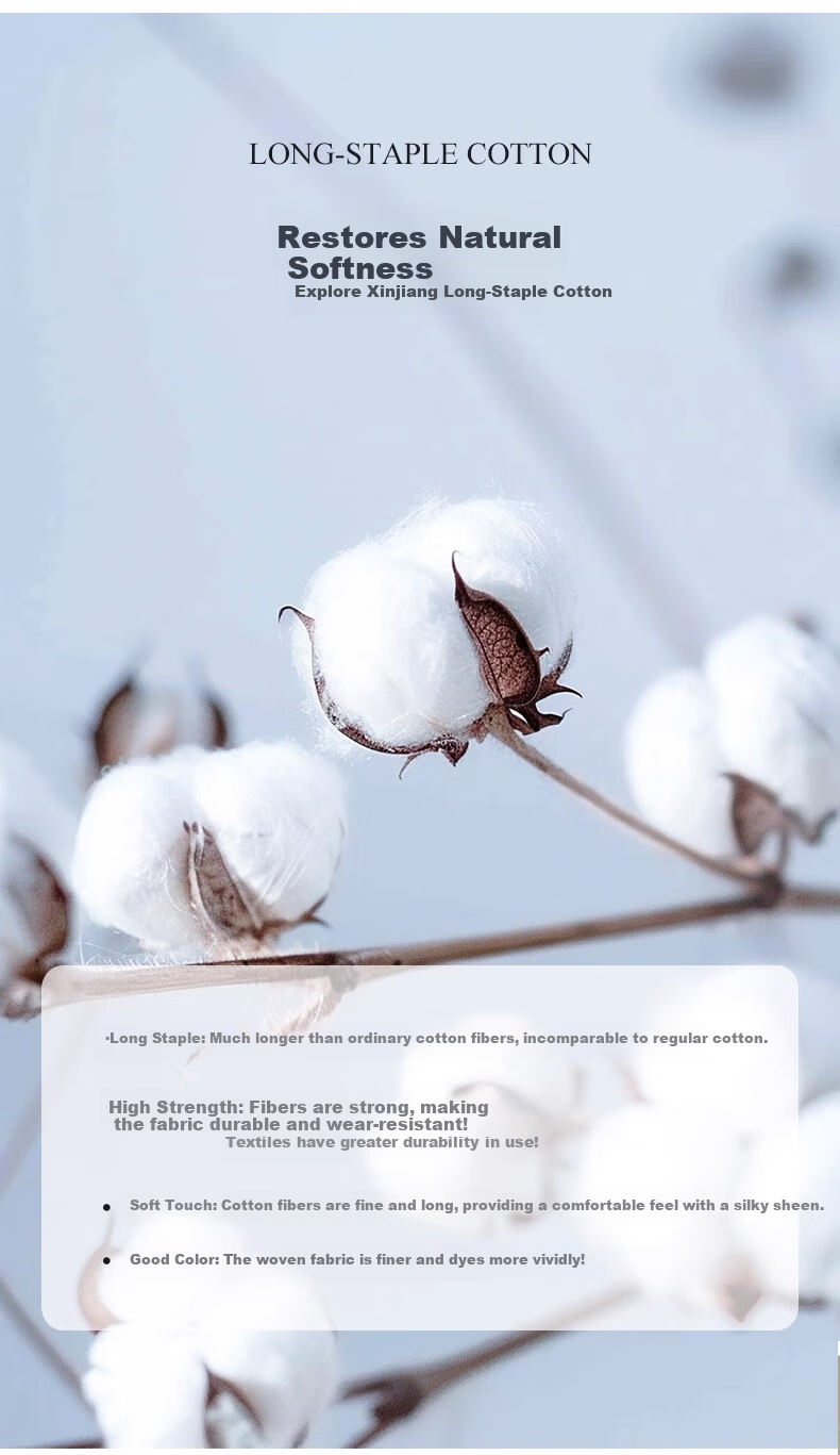 MUJI A-Class 60s Xinjiang Long-Staple Cotton Bed Sheet Single 100% Pure Cotton 1.8/2m Bed Full Cotton Quilt Cover 245x270cm 3