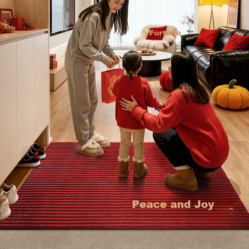 DeXi Entrance Door Mat Floor Mat High-End Elegant Welcome Rug Safety Mat 60x90cm