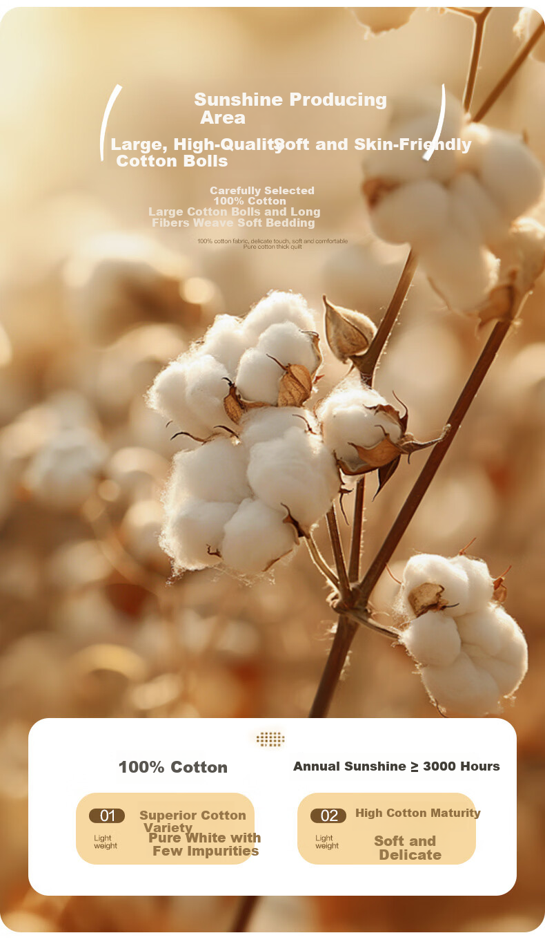 FUANNA × JD Custom Grade A Cotton Quilt 100% Cotton Spring and Autumn Quilt 230×229cm 3