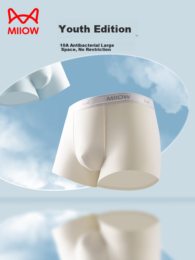 MiiOW 10A Antibacterial Cotton Youth Development Period Thin Boxer Briefs for Overweight Boys High School Students 8
