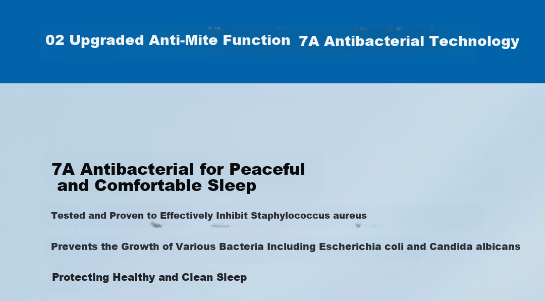 7A Grade Antibacterial and Anti-Mite A-Class Skin-Friendly White Pillow Core Oil-Proof Waterproof Stain-Resistant Adult Men's Pillow 16