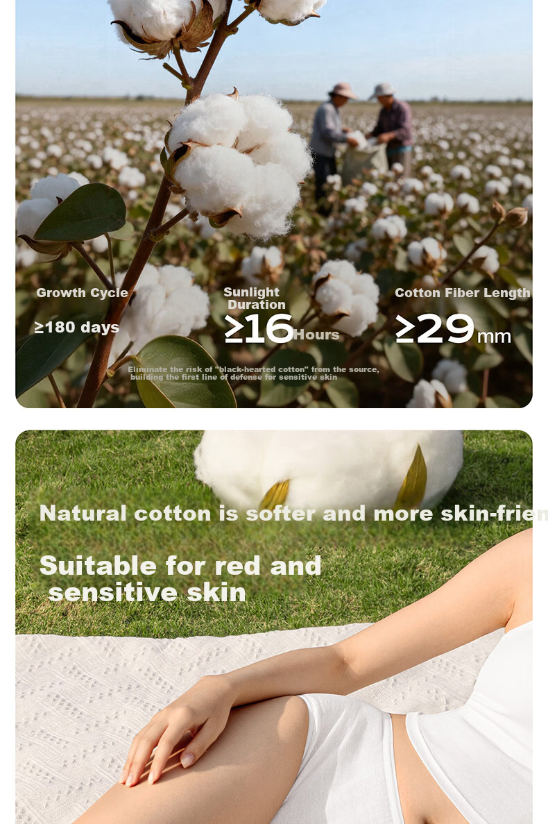 Deanqi Medical Disposable Women's Cotton Sterile Underwear Independent Packaging Maternity Postpartum Large Size Travel Wash-Free Daily Use 2XL 4