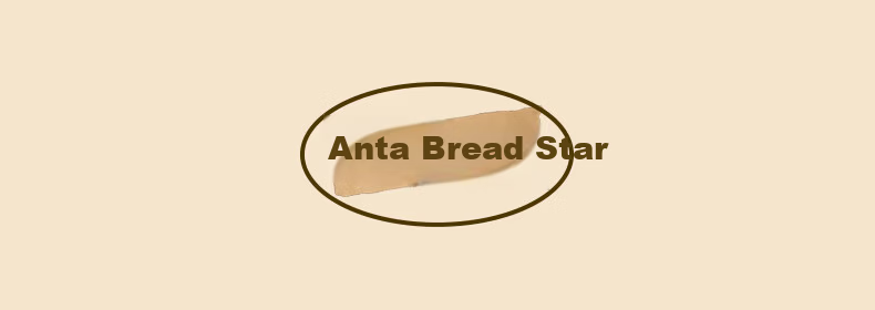 Anta Bread Star Casual Shoes Men Summer New Breathable Mesh Soft Sole Lightweight Commuting Running Sports Sneakers 14