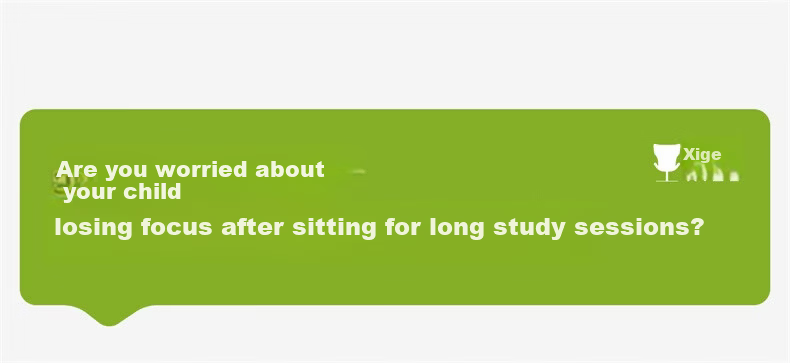 Xige X19ypro Ergonomic Study Chair Desk Chair Computer Chair for High School Students Youth Home Writing Desk Chair 19
