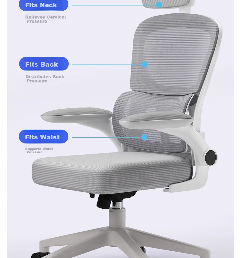Chibilun Ergonomic Computer Chair Comfortable Office Chair for Long Sitting Dormitory Student Seat with Backrest 4