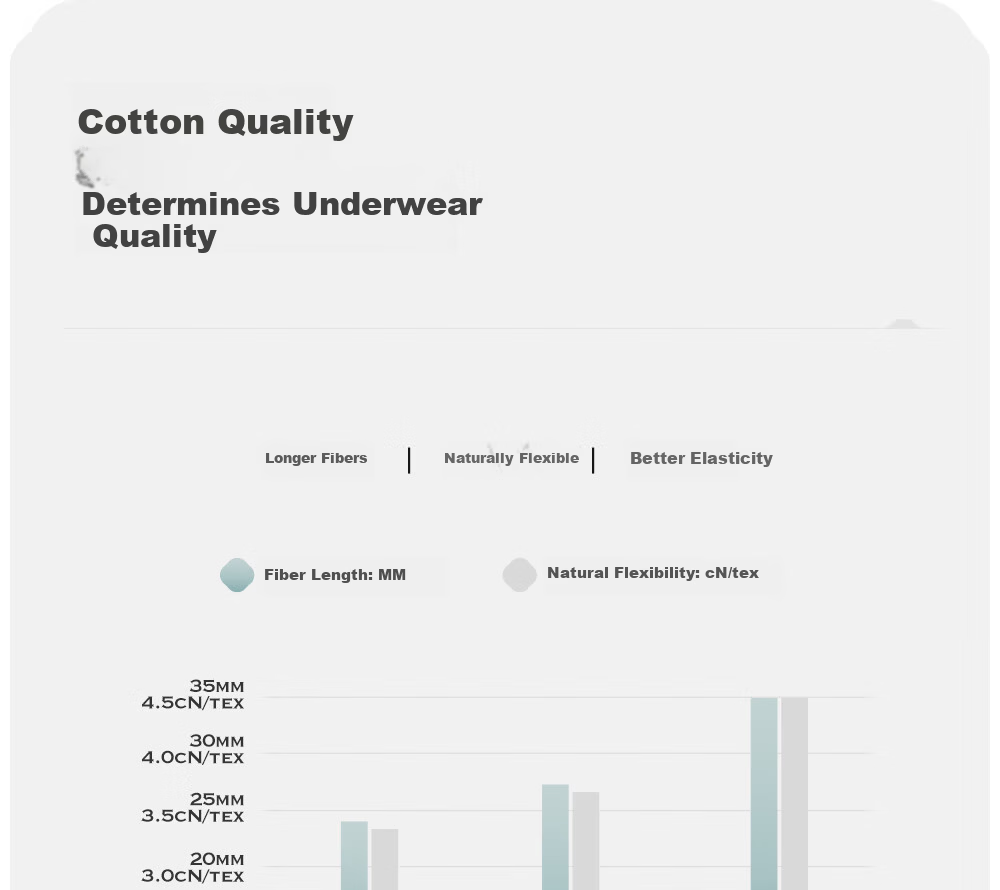 Jindu Medical Grade Women's Cotton Antibacterial 100% Cotton Extended Crotch High Waist Triangle Shorts 2025 New Model 3