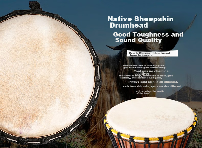 Minsine Standard 10-Inch African Drum, for Adults And Children Beginners to Play, Old Goat Skin Hand Drum Percussion Instrument 8