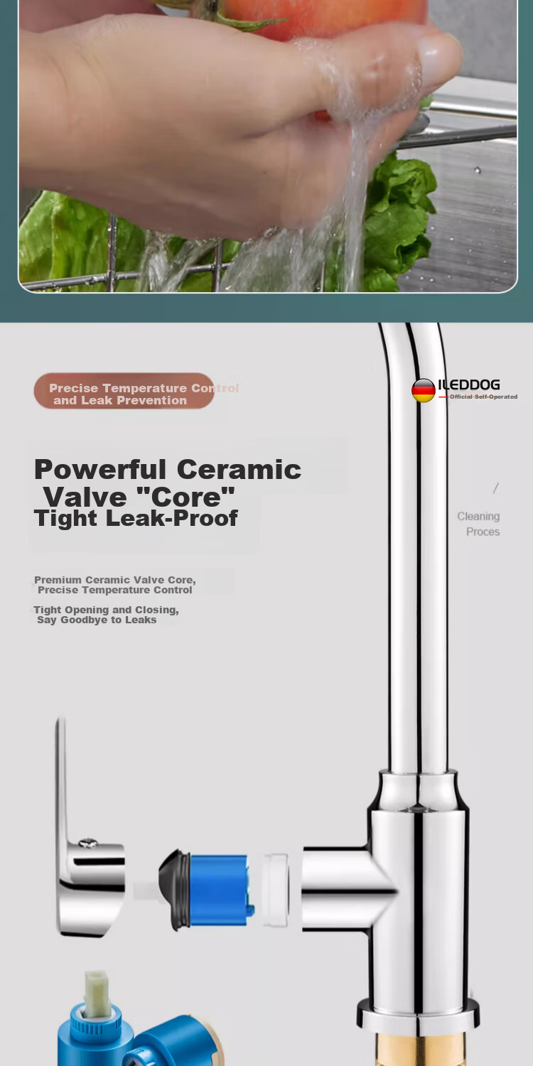 ILeddog [Germany] Kitchen Faucet 304 Stainless Steel Hot and Cold Pressurized Splash-Proof Swivel Vegetable Sink Faucet CFLT-GY2D 9