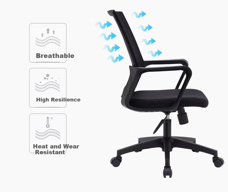 SGMW Computer Chair Home Office Chair Ergonomic Backrest Study Swivel Chair Executive Seat Gaming Chair 8