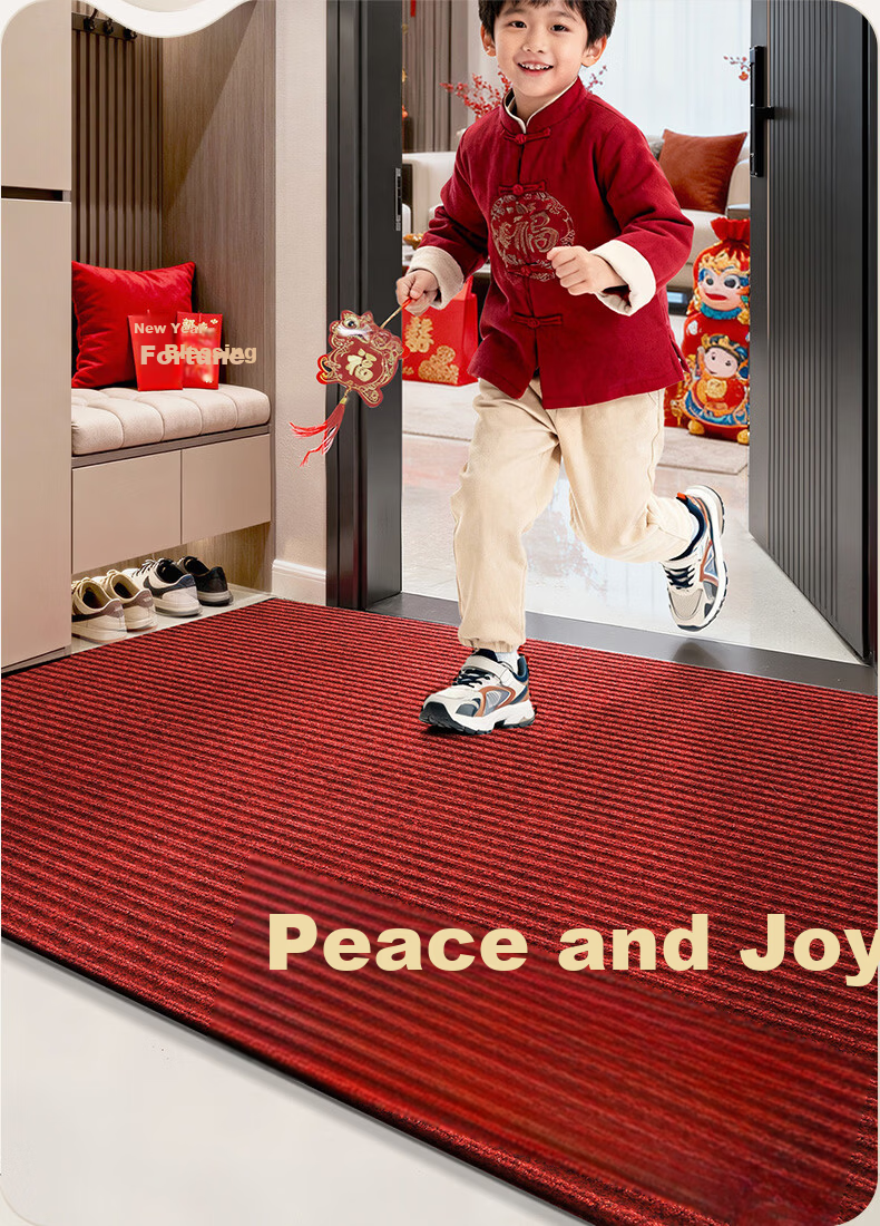 DeXi Entrance Door Mat Floor Mat High-End Elegant Doorway Carpet Safety Mat 80x120cm 2