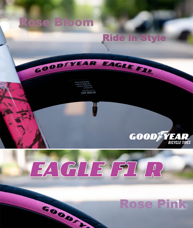 Goodyear Eagle F1R 700x30 Road Bike Tire Racing Lightweight All-Purpose Open Tread Black 19
