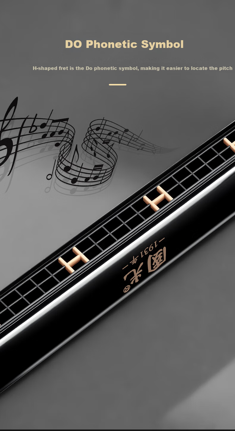 Guoguang 24-Hole Beginner Entry-Level Diatonic Harmonica C Key (Athens Black) Gift Box Edition 3