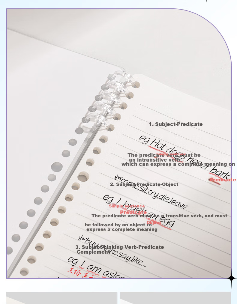 Deli B5 Foldable Loose-Leaf Notebook for Students' Homework, Practice, And Subject Notes, 50 Sheets, Political Science Workbook BDHB5-02 13