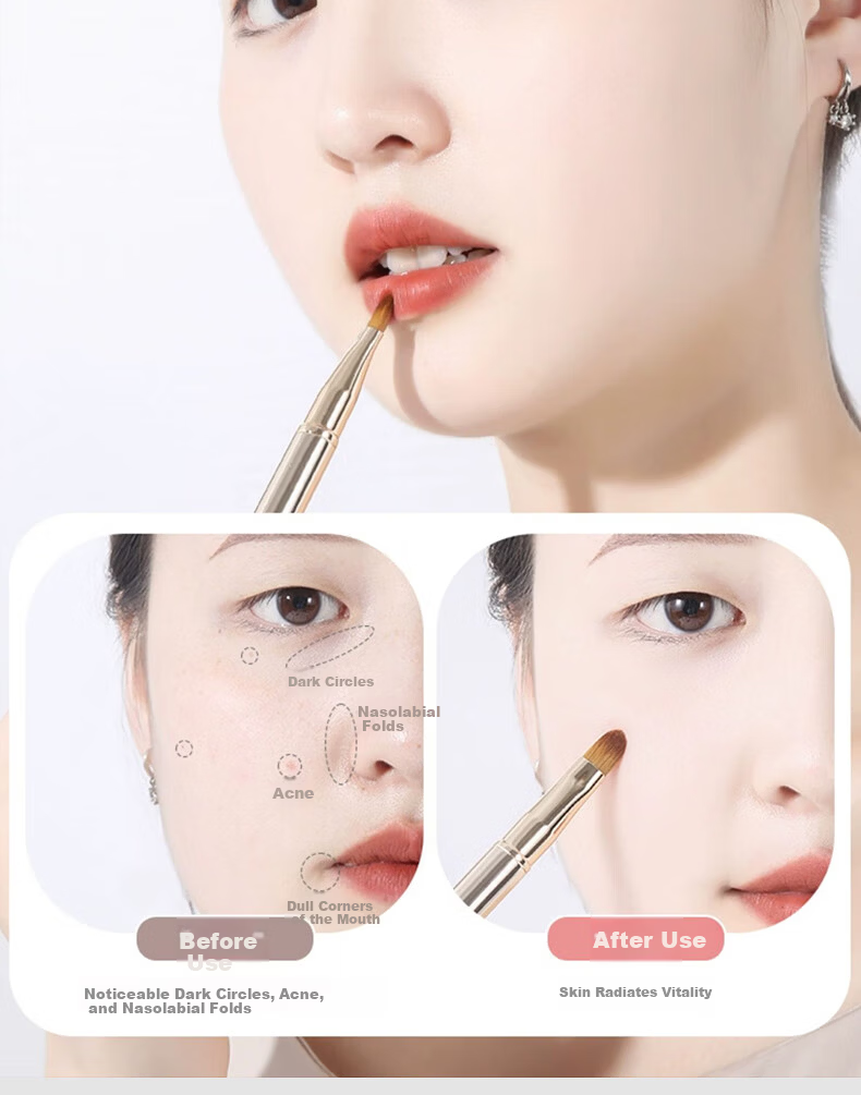 Chense Double-Ended Retractable Lip Brush (Gold) Portable Lip Liner and Concealer Brush with Cap 8