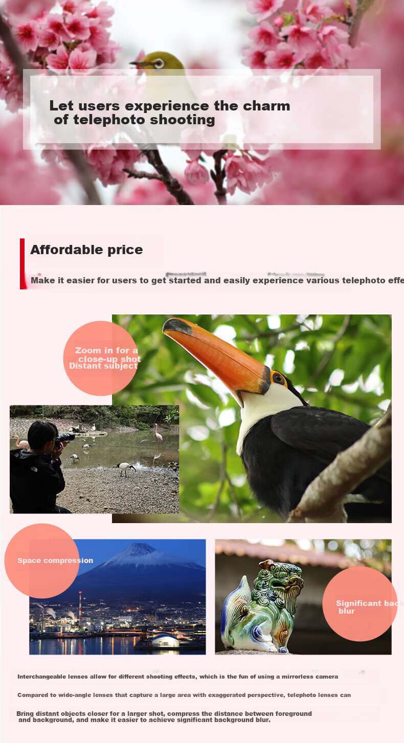 Canon RF 75-300mm F4-5.6 Full-Frame Telephoto Zoom Lens Lightweight Design Suitable for Wildlife/Sports Photography Filter Protection Kit 1