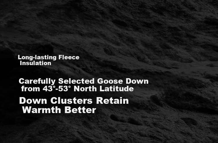 BOSIDENG Off-Season Extreme Cold Goose Down Thickened Hooded Unisex Couple Ultimate Warmth Mall Same Style Down Jacket 16