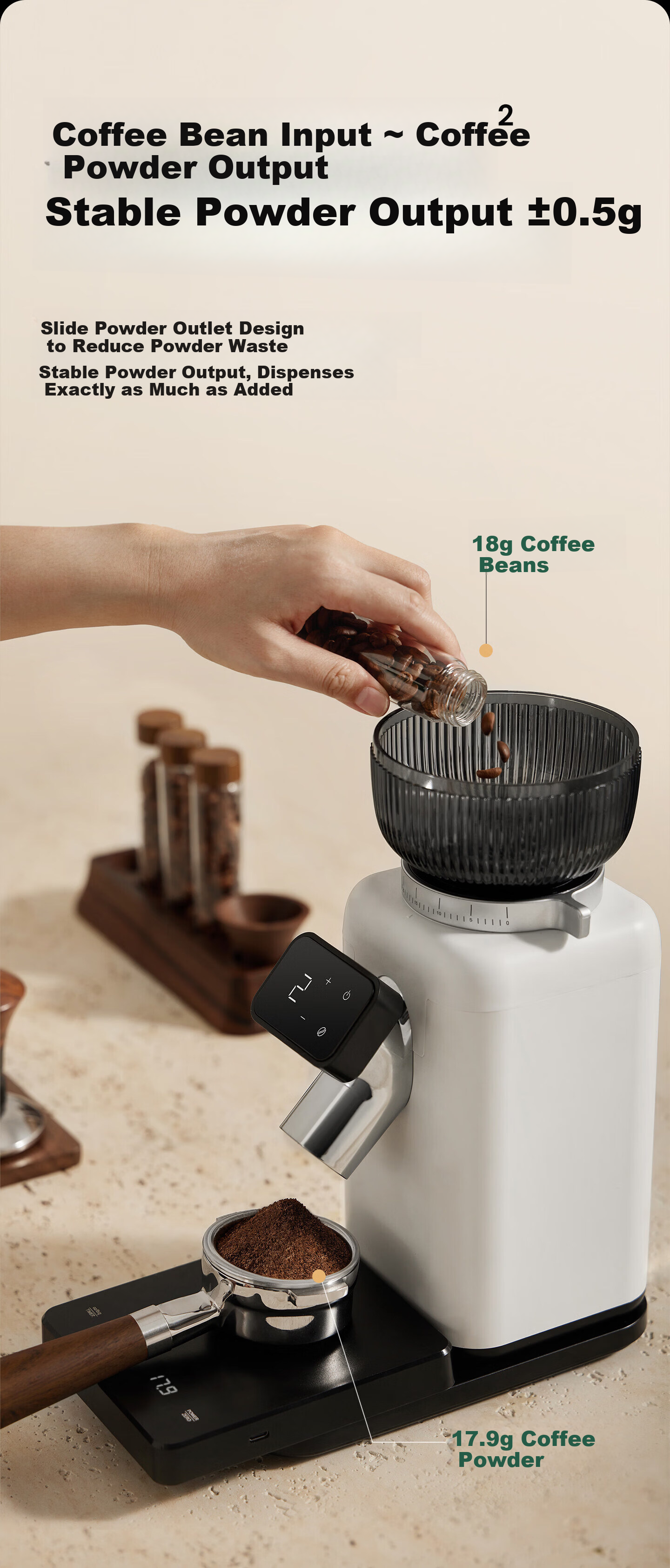 Petrus PE3788E New Home Electric Coffee Grinder, Fresh Grind Italian and American Style, Compact Espresso Grinder with 40-Level Anti-Fly Powder Adjustment 6