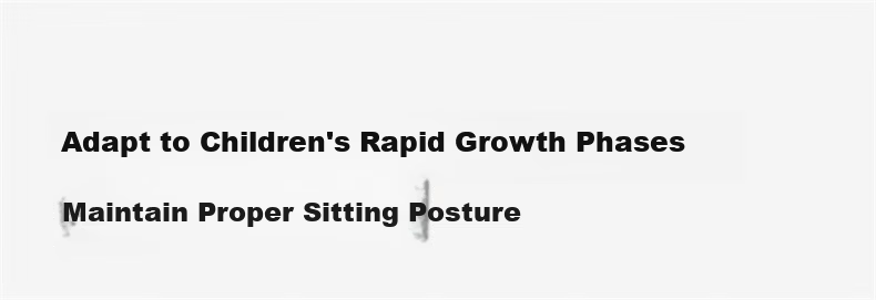 Xige X19ypro Ergonomic Study Chair Desk Chair Computer Chair for High School Students Youth Home Writing Desk Chair 9