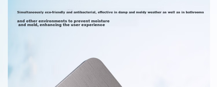 Zichen Hard Diatom Mud Water-Absorbent Bath Mat Non-Slip Anti-Fall Entrance Bathroom Quick-Dry Floor Rug Toilet Carpet 60