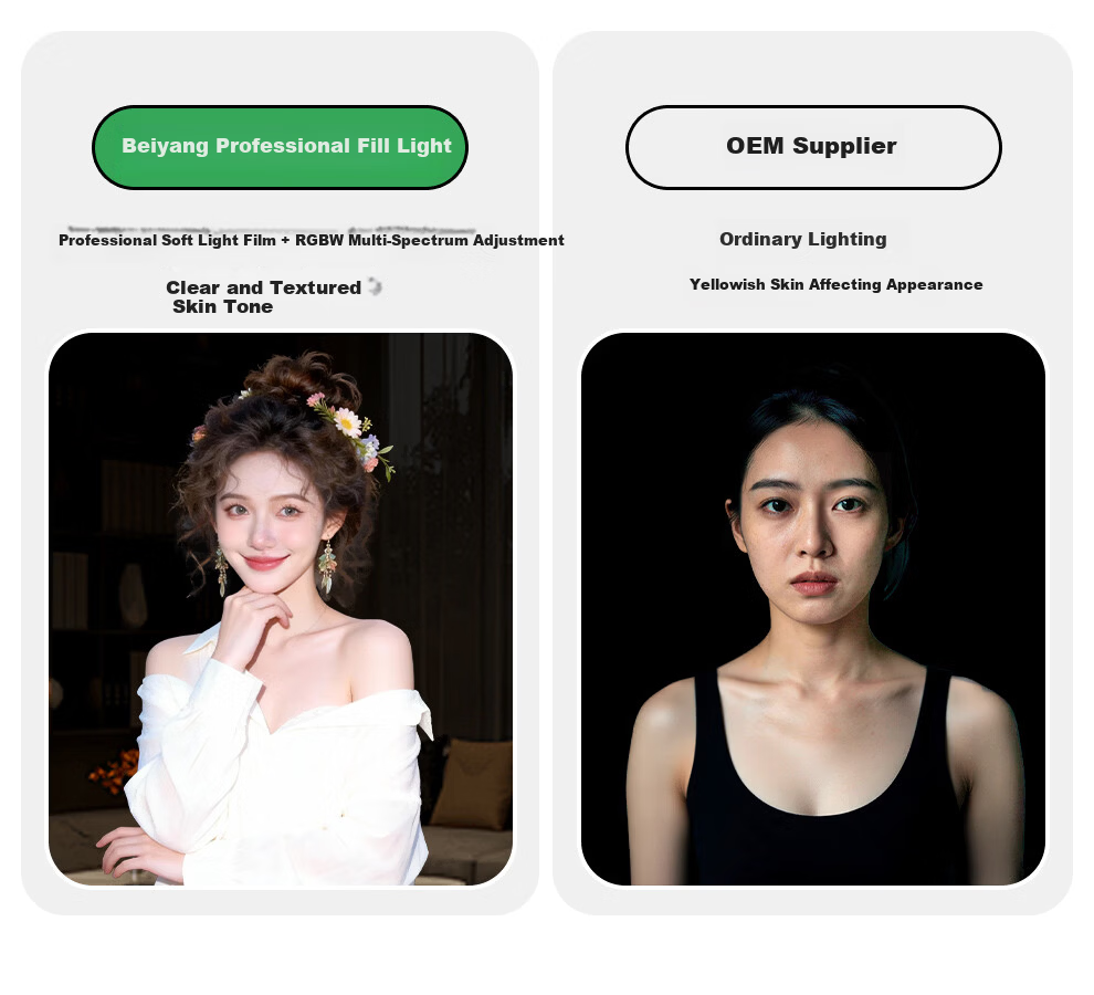 Beiyang 300W Live Streaming Fill Light Professional Spherical Lighting LED Soft Light Beauty Skin Studio Photography Video Continuous Light Film Light 6