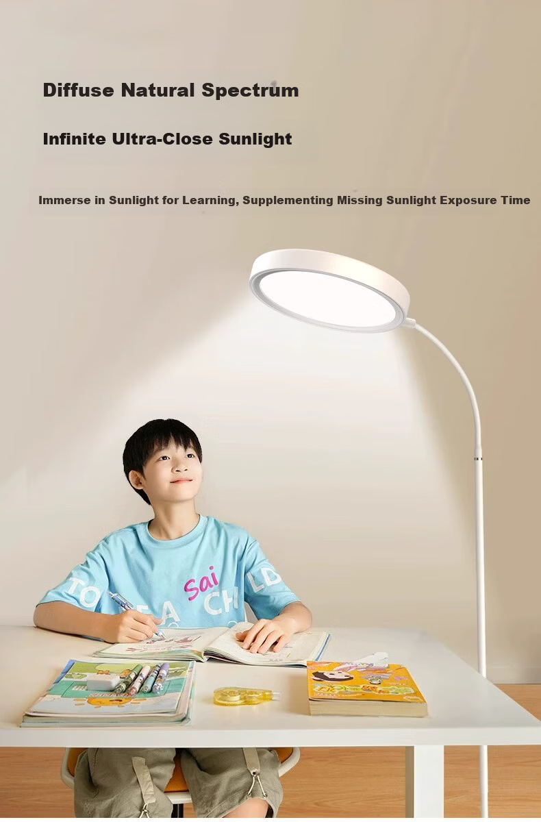 Boraer Outdoor Floor Eye Protection Full Spectrum Desk Lamp Study Reading Lamp Bedside Piano Lamp Standing Study Room Lamp 11