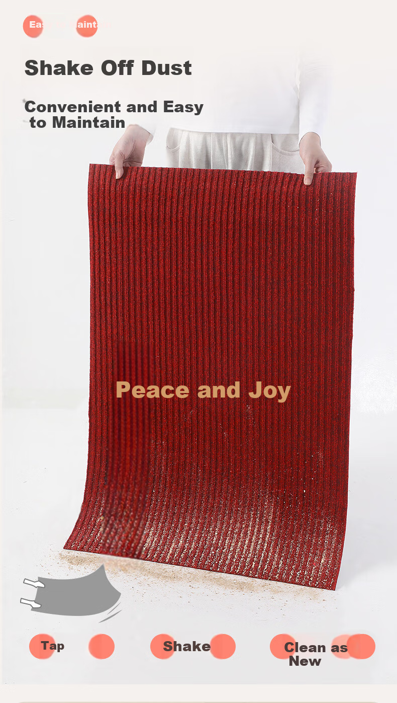 DeXi Entrance Door Mat Floor Mat High-End Elegant Doorway Carpet Safety Mat 80x120cm 11