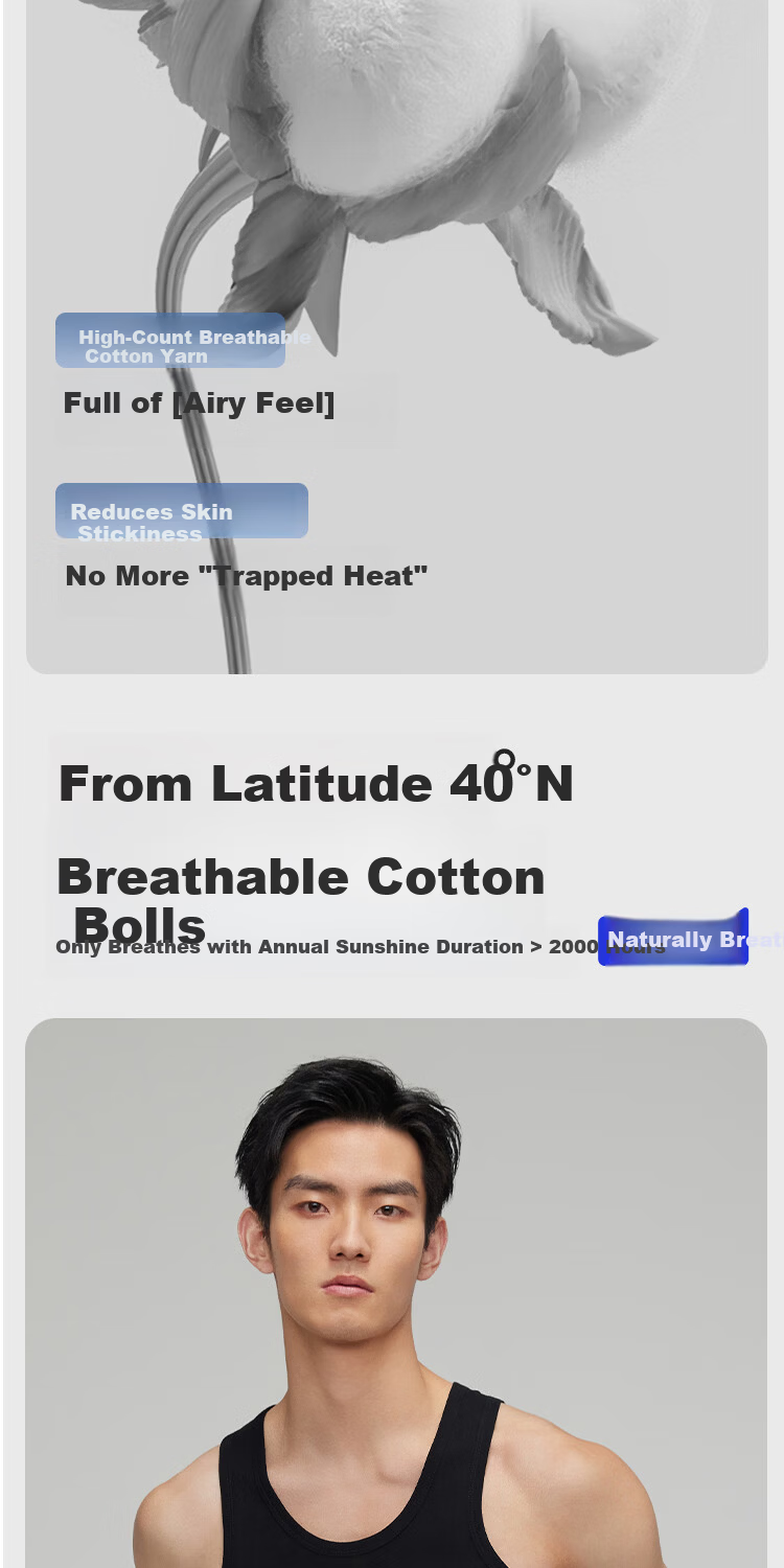 HLA Men’s Cotton Sleeveless Vest, Breathable Basic Thin Undershirt, 2-Pack 2