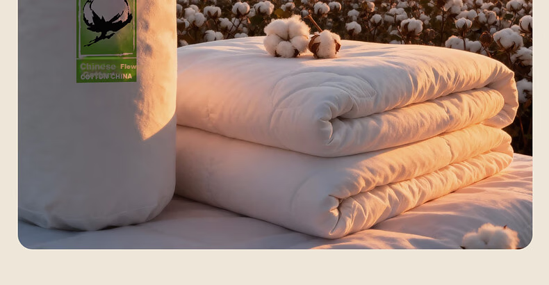 Mercury Home Textile Cotton Quilt Cotton Comforter Core Pure Cotton Class A Xinjiang Cotton Double Approximately 5 Jin 200x230cm 47