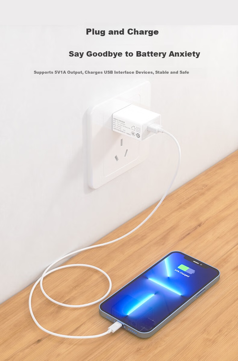 Jinling Shengbao 5V1A USB Charger Adapter for Phone, Bluetooth Earphones, Speakers, Phones, Watches, Portable WiFi, Night Light, Fan, Power Bank, Desk Lamp - Black 2