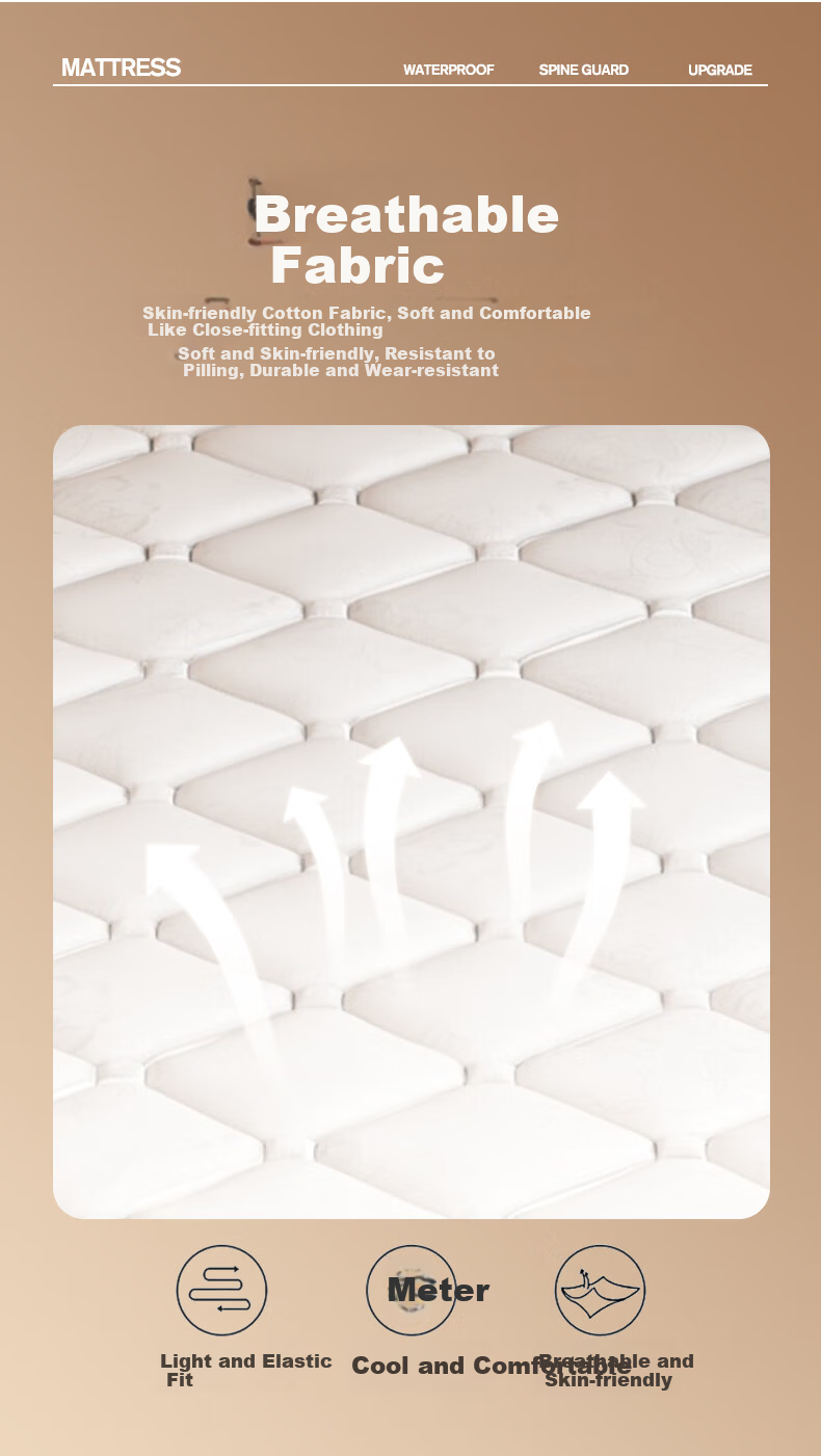 Zhuobo Coconut Palm Mattress Student Dormitory Mattress Firm Palm Mattress Foldable Mattress CD05 Model 90*190cm 8