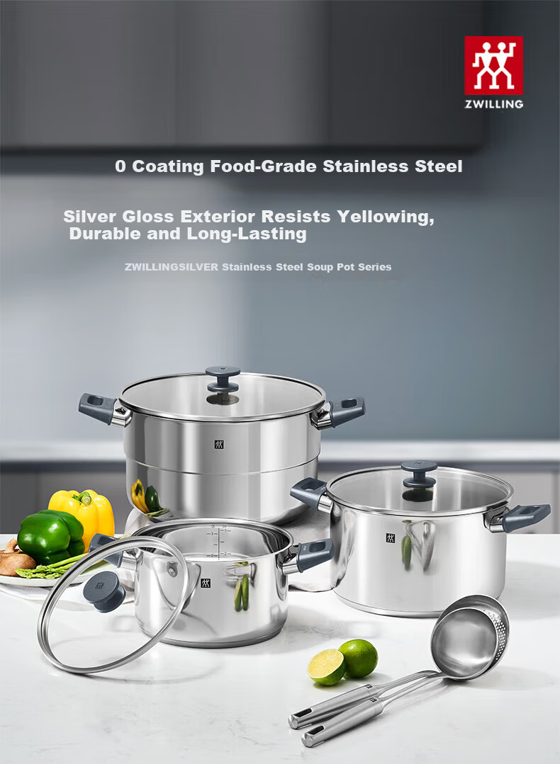 ZWILLING Stainless Steel Soup Pot 0 Coating Cooking Pot Household Double Handle Stew Pot Anti-Scald Noodle Porridge Pot Silver Soup Pot 20cm 1