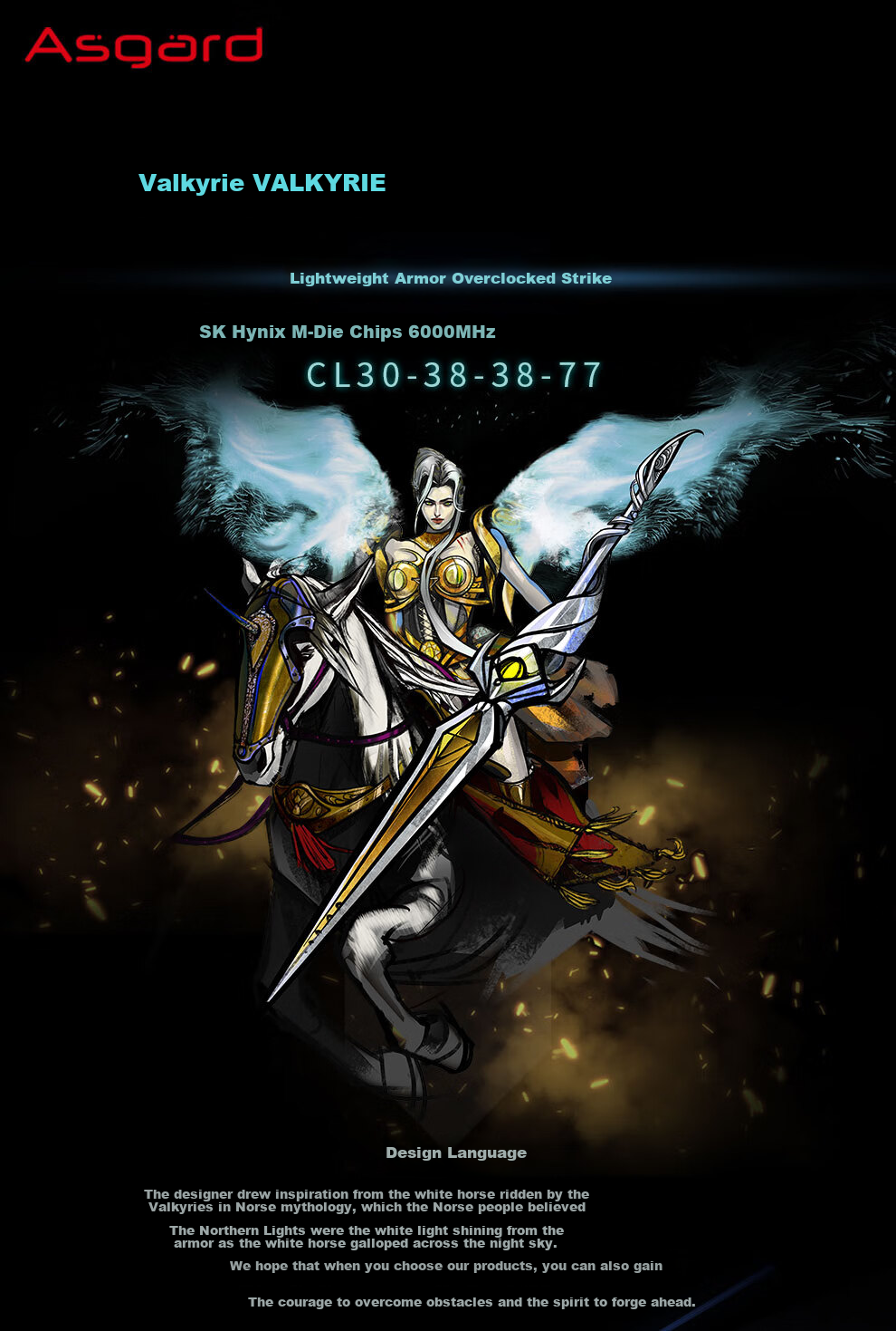 Asgard 64GB (32GBx2) DDR5 6000 Desktop Memory Heimdall Heat Spreader Micron Chips CL40 Black Thick Armor 1