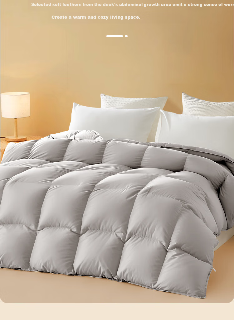 Yuan Life Anti-Feather Leakage White Duck Down Quilt Core Four Seasons Down Quilt Filled with 2300g 200*230cm Gray 7