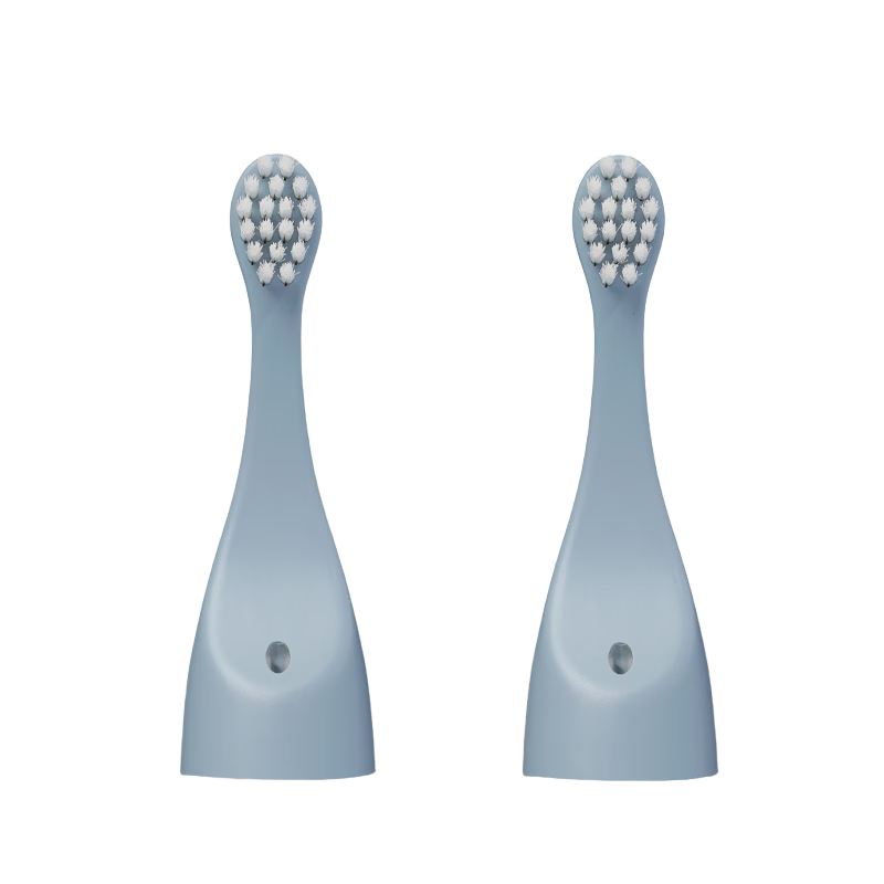 Homeplove TI113-6 Blue Brush Head
