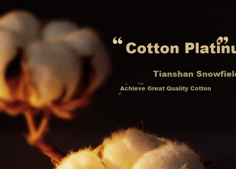 Mercury Home Textile Cotton Quilt Cotton Comforter Core Pure Cotton Class A Xinjiang Cotton Double Approximately 5 Jin 200x230cm 5