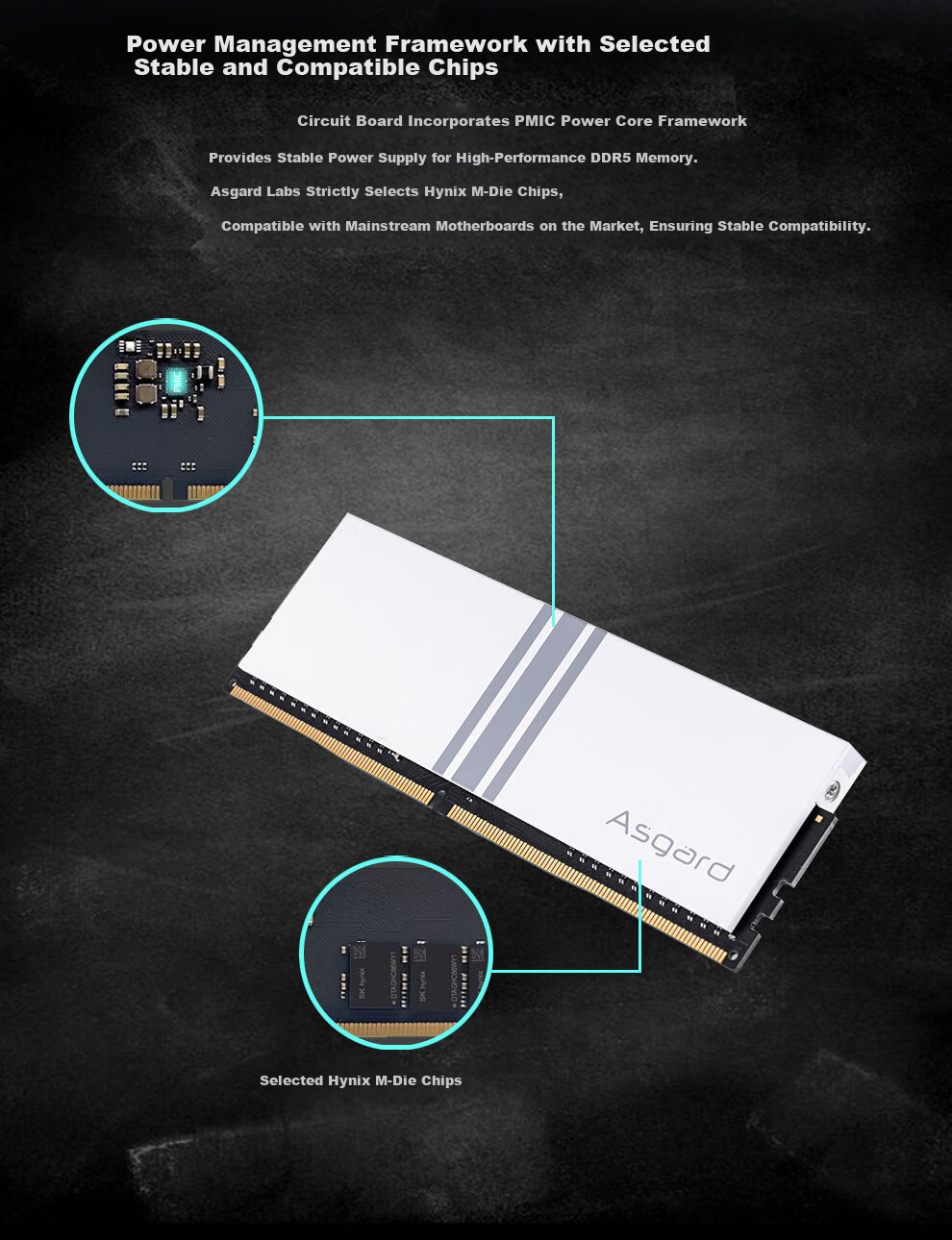 Asgard 64GB (32GBx2) DDR5 6000 Desktop Memory Heimdall Heat Spreader Micron Chips CL40 Black Thick Armor 5