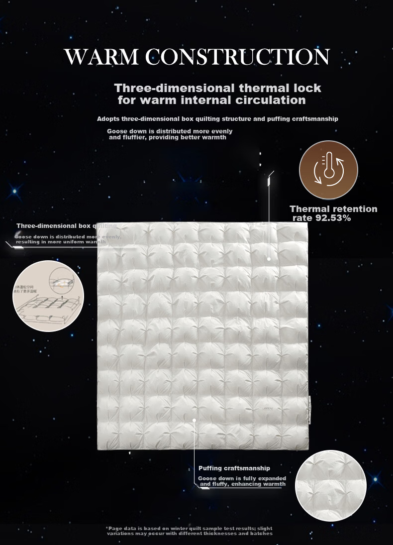 Luolai Home Textiles Down Quilt A-Class 95% Washed White Goose Down Aerospace Temperature Control Thickened Winter Quilt Core Approx. 5.8 Jin 4