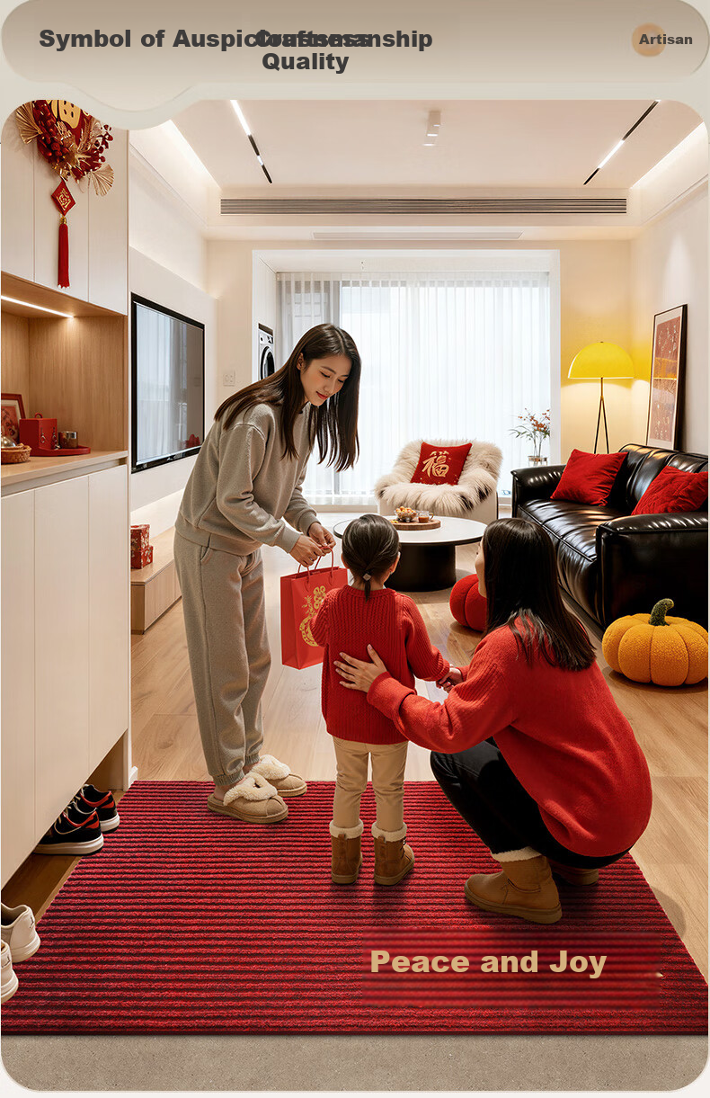 DeXi Entrance Door Mat Floor Mat High-End Elegant Doorway Carpet Safety Mat 80x120cm 4