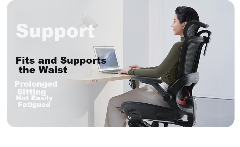 Sihoo B100Pro Ergonomic Office Chair Computer Chair Human Engineering Seat Gaming Chair with 4D Adjustable Armrests 7