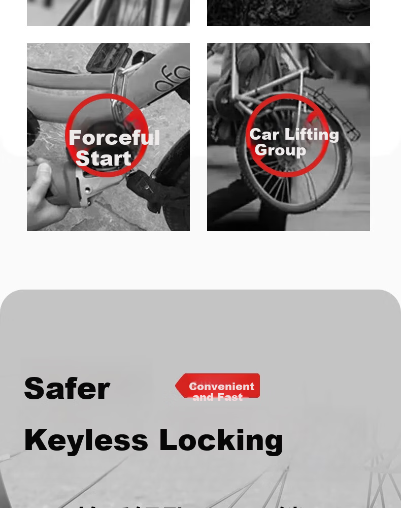 Phoenix Mountain Bicycle Lock Anti-theft Password Chain Lock for Electric Bike, Electric Scooter, Motorcycle, Glass Door Portable Chain Lock 2