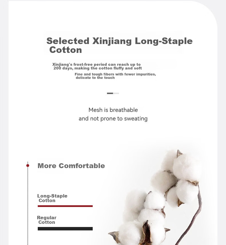 Mian Xiaonian Men's Short Cotton Socks Spring Summer [100% Pure Cotton 10A Antibacterial Deodorant] Sweat-Absorbing Breathable No-Show Socks 10 Pairs 5