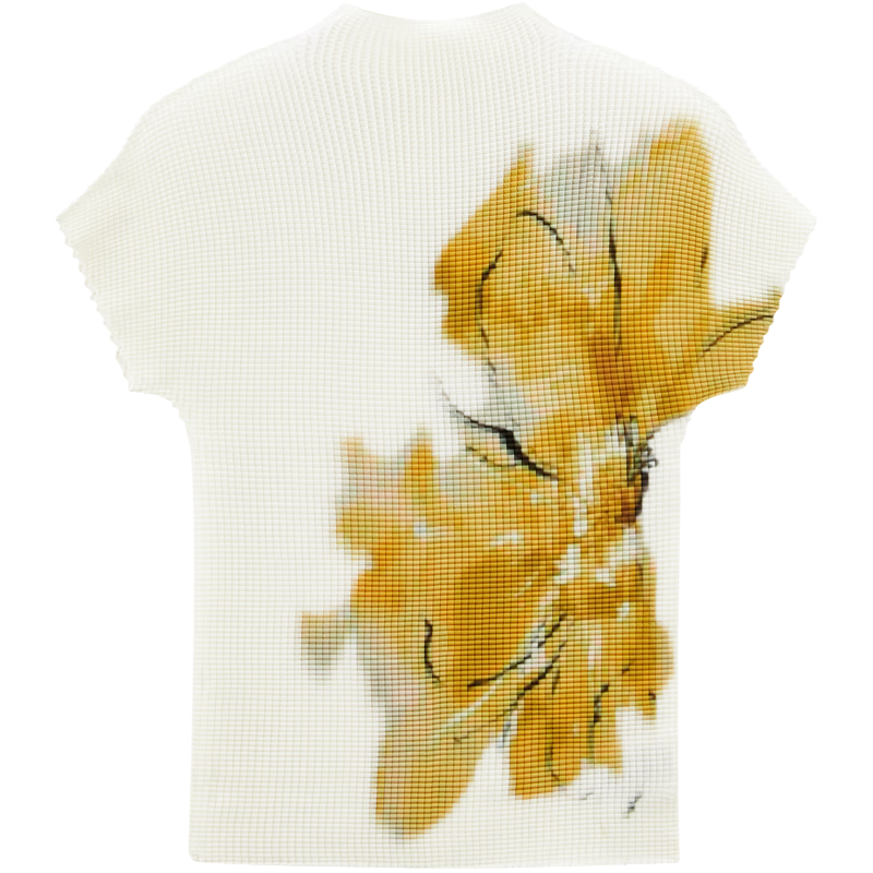 Peacebird Women's T-Shirt Miyake Style Pleated Soma Flower Short Sleeve Summer Elegant Half High Neck Slim Fit Top White L