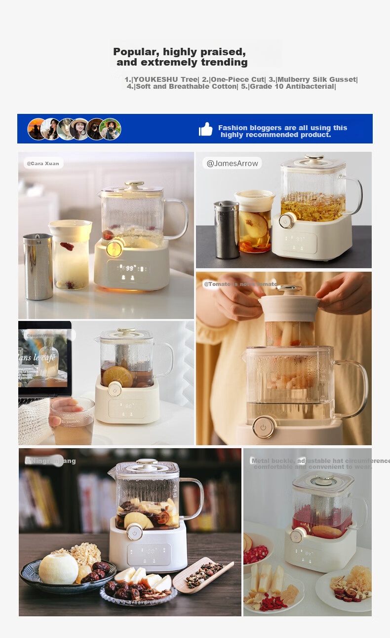 BASSENS Basen Small Square Stew Full Glass 0 Glue 0 Splicing Health Pot 1.2L Constant Temperature Household Multifunctional Office Small Electric Ceramic Stove for Brewing Flower Tea BS-D7pro with Tea 2