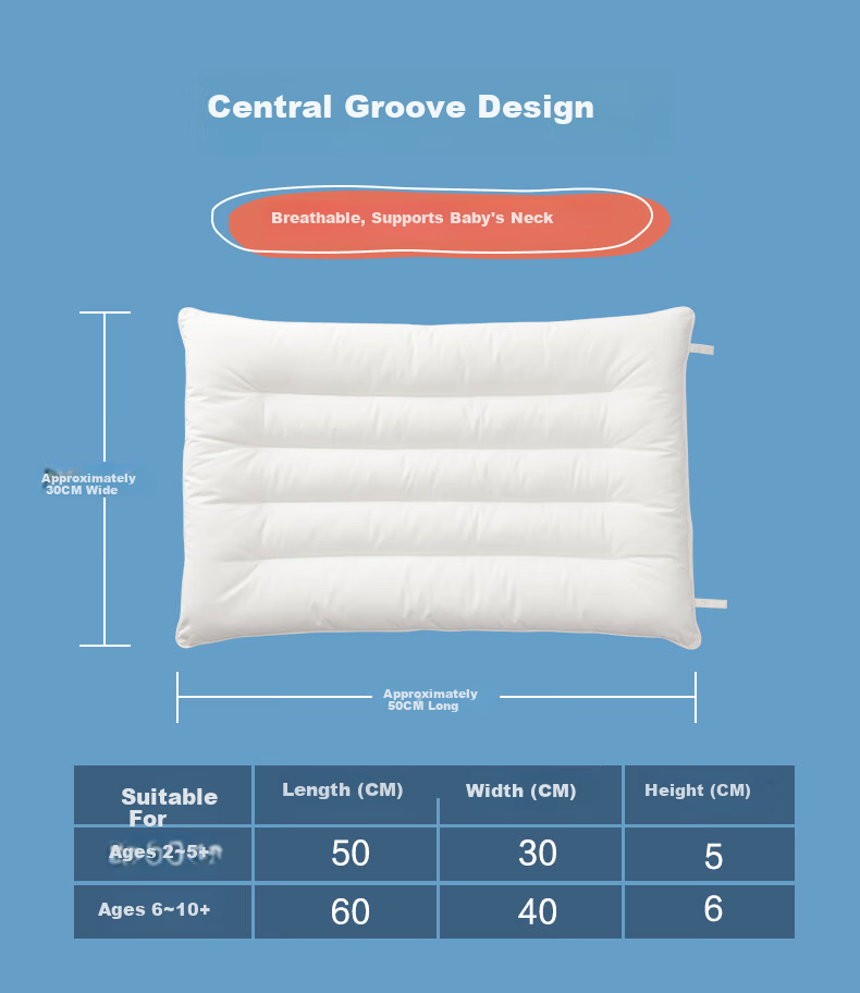 Beyond Kids Buckwheat Pillow for Children and Students, Cervical Pillow with Pure Buckwheat Hull, Single Herbal Pillow 40*60cm 10