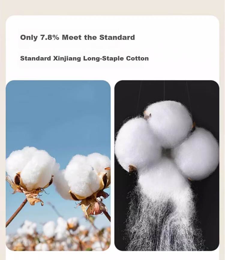 LangSha Youth Cotton Thermal Underwear Set for Girls 10A Antibacterial Thin Warm Cotton Top and Bottom Pajamas Student Teenager 6