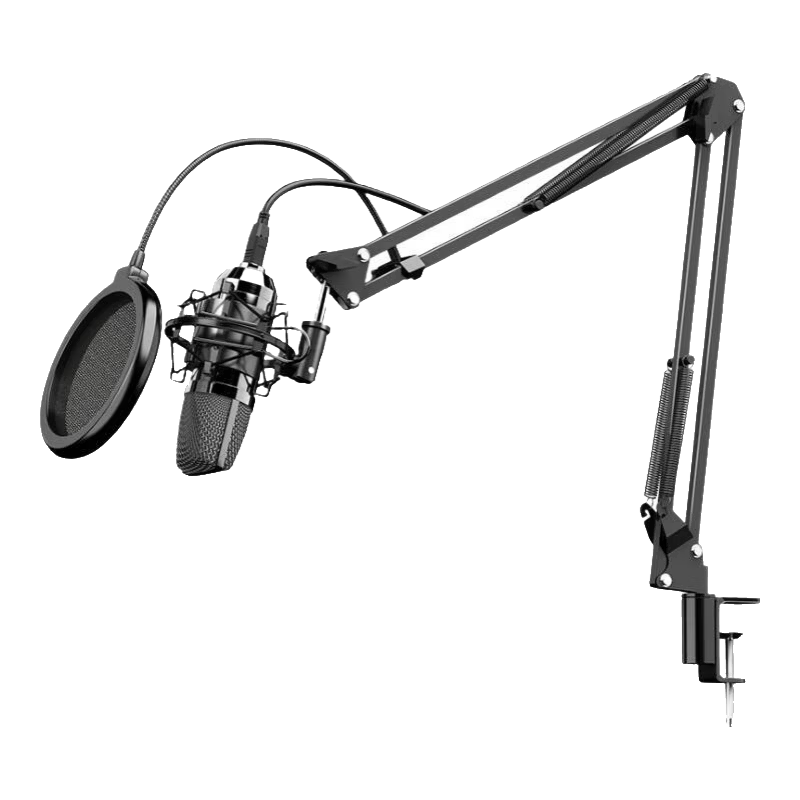 NINTAUS Jinzheng Microphone Boom Arm Thickened Desktop Live Streaming Handheld Condenser Shock Mount Pop Filter Universal Folding Professional Metal Stand + Shock Mount + Pop Filter