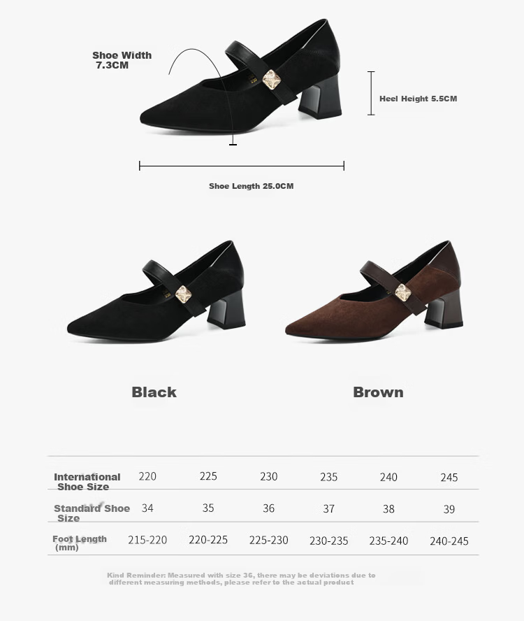 ZHR Pointed Toe Mary Jane Shoes for Women 2026 Spring New Thick Heel Suede Retro Versatile High Heels BL701 Black Size 34 7