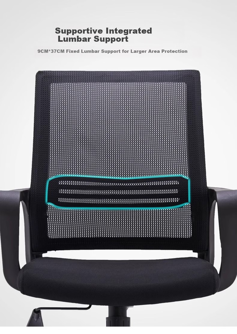 SGMW Computer Chair Home Office Chair Ergonomic Backrest Study Swivel Chair Executive Seat Gaming Chair 6