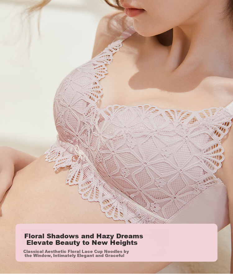 Dushiliren Lace Push-Up New Chinese-Style Bra Set Gift Box, Underwear Panties, Valentine's Day Gift for Girlfriend, 2B22E4 12