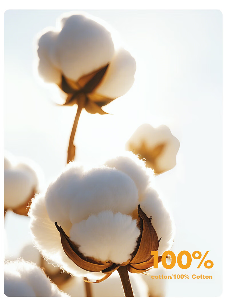 LOVO Luolai Home Textiles Cotton Quilt, 100% Natural Xinjiang Cotton, Winter, 200x230cm, JINGDONG Customized Versio 5